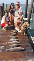 port aransas fishing