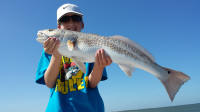 rockport fishing pics